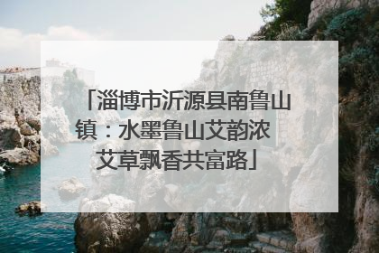 淄博市沂源县南鲁山镇：水墨鲁山艾韵浓 艾草飘香共富路