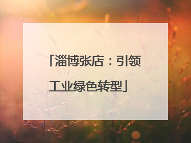 淄博张店：引领工业绿色转型