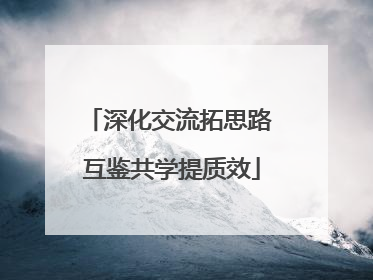 深化交流拓思路 互鉴共学提质效