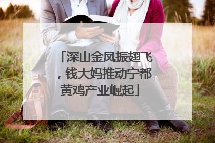 深山金凤振翅飞，钱大妈推动宁都黄鸡产业崛起