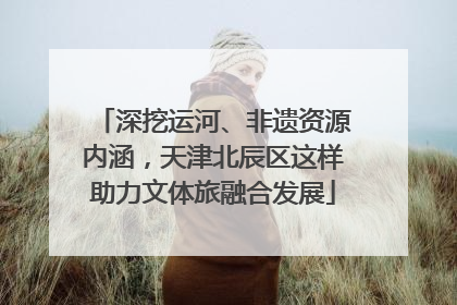 深挖运河、非遗资源内涵，天津北辰区这样助力文体旅融合发展