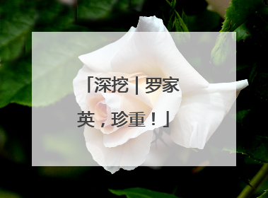 深挖｜罗家英，珍重！