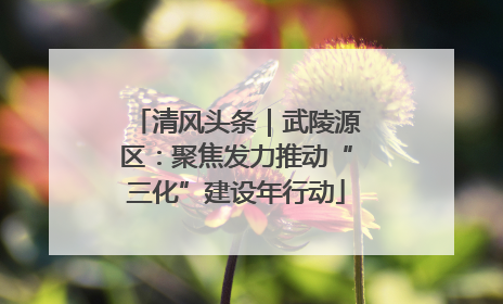 清风头条｜武陵源区：聚焦发力推动“三化”建设年行动
