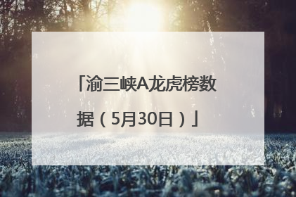 渝三峡A龙虎榜数据（5月30日）