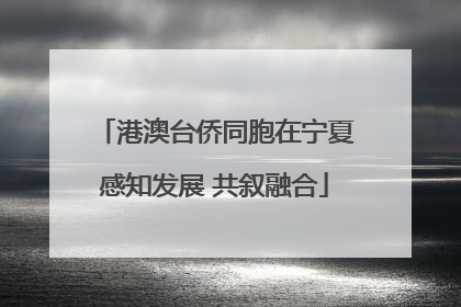 港澳台侨同胞在宁夏感知发展 共叙融合