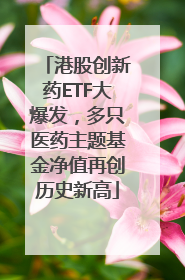 港股创新药ETF大爆发，多只医药主题基金净值再创历史新高