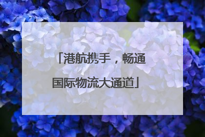 港航携手，畅通国际物流大通道