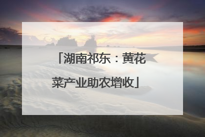 湖南祁东：黄花菜产业助农增收