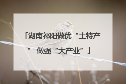 湖南祁阳做优“土特产” 做强“大产业”
