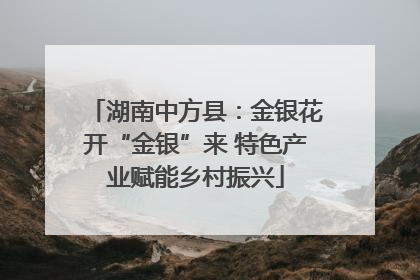 湖南中方县：金银花开“金银”来 特色产业赋能乡村振兴