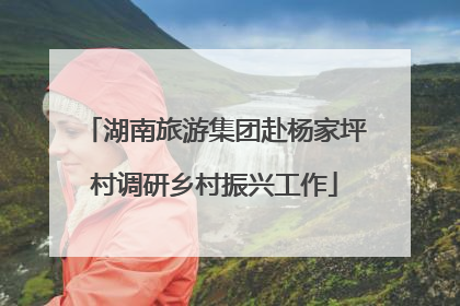 湖南旅游集团赴杨家坪村调研乡村振兴工作
