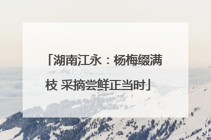 湖南江永：杨梅缀满枝 采摘尝鲜正当时