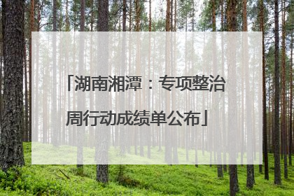湖南湘潭：专项整治周行动成绩单公布