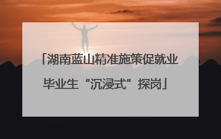 湖南蓝山精准施策促就业 毕业生“沉浸式”探岗