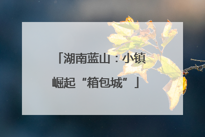 湖南蓝山：小镇崛起“箱包城”