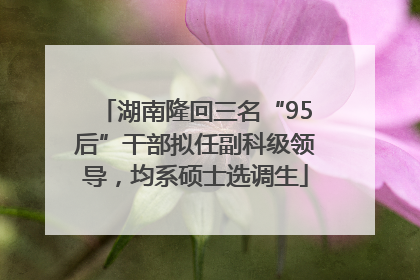 湖南隆回三名“95后”干部拟任副科级领导，均系硕士选调生