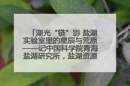 湖光“链”影 盐湖实验室里的星辰与荒原——记中国科学院青海盐湖研究所，盐湖资源化学实验室党总支书记、副主任刘忠