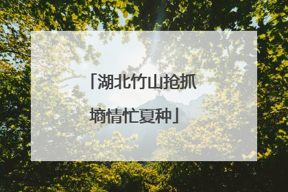 湖北竹山抢抓墒情忙夏种