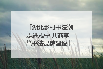 湖北乡村书法潮走进咸宁 共商李邕书法品牌建设