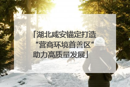 湖北咸安锚定打造“营商环境首善区”助力高质量发展