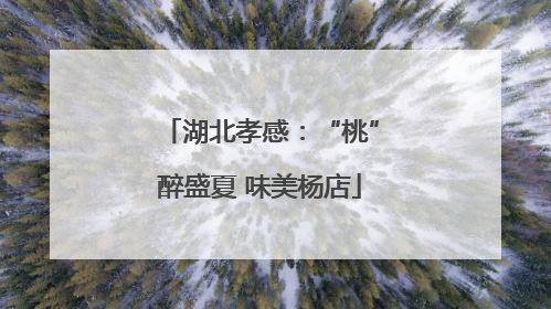 湖北孝感：“桃”醉盛夏 味美杨店