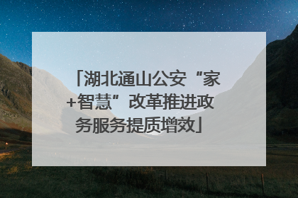 湖北通山公安“家+智慧”改革推进政务服务提质增效