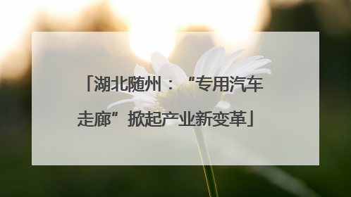 湖北随州：“专用汽车走廊”掀起产业新变革