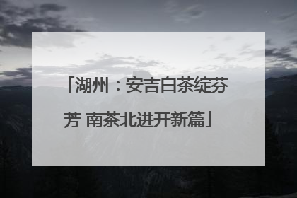 湖州：安吉白茶绽芬芳 南茶北进开新篇