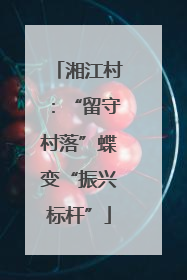 湘江村：“留守村落”蝶变“振兴标杆”
