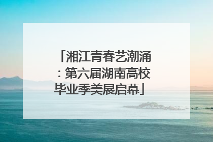 湘江青春艺潮涌：第六届湖南高校毕业季美展启幕