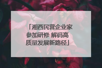湘西民营企业家参加研修 解码高质量发展新路径