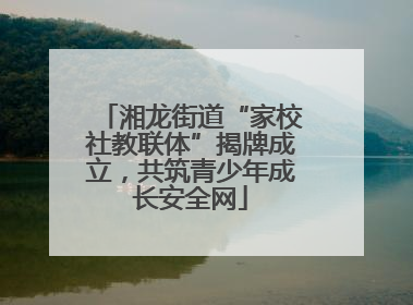 湘龙街道“家校社教联体”揭牌成立，共筑青少年成长安全网