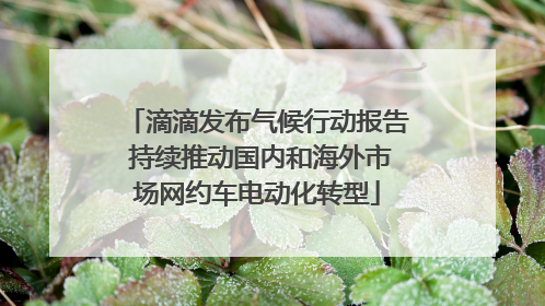 滴滴发布气候行动报告 持续推动国内和海外市场网约车电动化转型