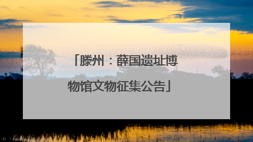 滕州：薛国遗址博物馆文物征集公告