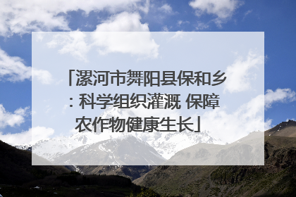 漯河市舞阳县保和乡：科学组织灌溉 保障农作物健康生长