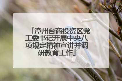 漳州台商投资区党工委书记开展中央八项规定精神宣讲并调研教育工作