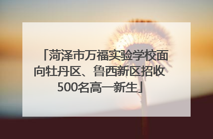 菏泽市万福实验学校面向牡丹区、鲁西新区招收500名高一新生