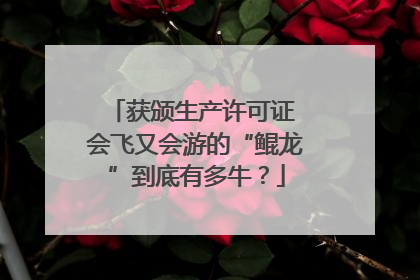 获颁生产许可证 会飞又会游的“鲲龙”到底有多牛？