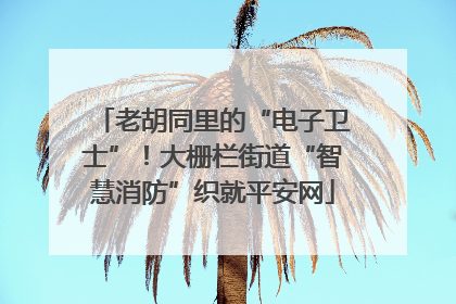 老胡同里的“电子卫士”！大栅栏街道“智慧消防”织就平安网