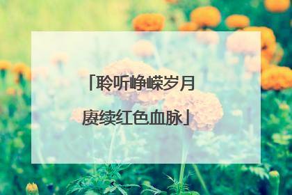 聆听峥嵘岁月 赓续红色血脉