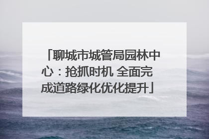 聊城市城管局园林中心：抢抓时机 全面完成道路绿化优化提升