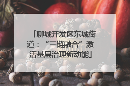 聊城开发区东城街道：“三链融合”激活基层治理新动能