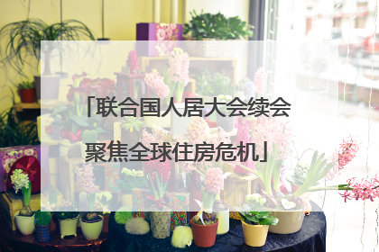 联合国人居大会续会聚焦全球住房危机