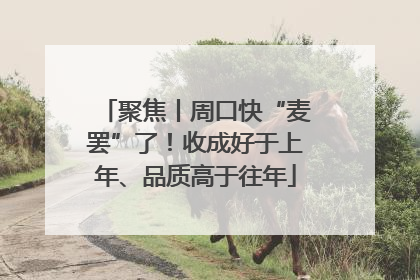 聚焦丨周口快“麦罢”了！收成好于上年、品质高于往年