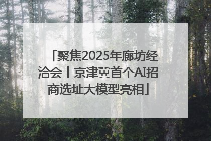聚焦2025年廊坊经洽会丨京津冀首个AI招商选址大模型亮相