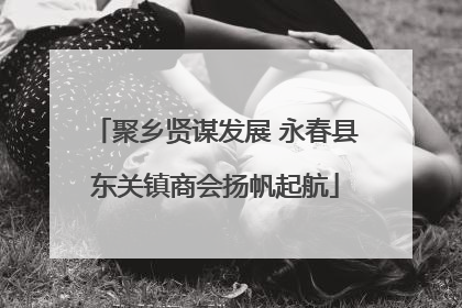聚乡贤谋发展 永春县东关镇商会扬帆起航