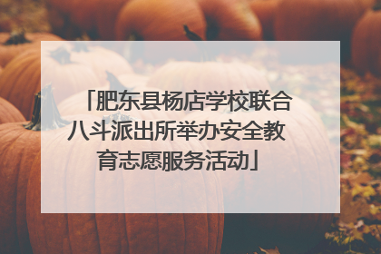 肥东县杨店学校联合八斗派出所举办安全教育志愿服务活动