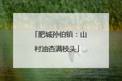 肥城孙伯镇：山村油杏满枝头
