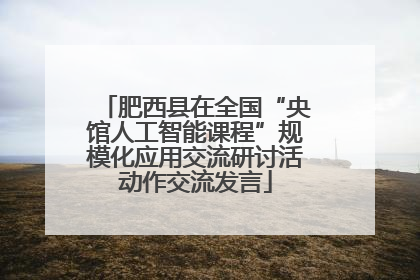 肥西县在全国“央馆人工智能课程”规模化应用交流研讨活动作交流发言