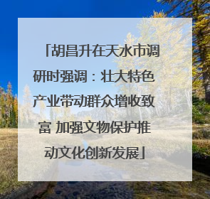 胡昌升在天水市调研时强调：壮大特色产业带动群众增收致富 加强文物保护推动文化创新发展